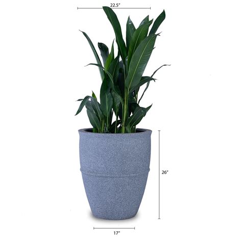 Buy Indoor Planters Online in India | Studio Palasa