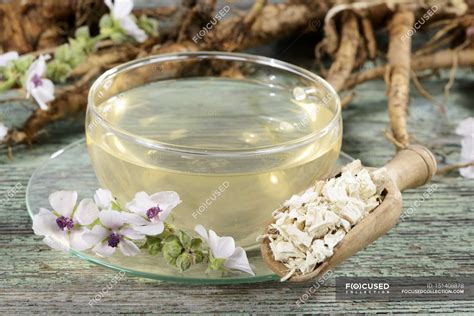 Marsh mallow root tea — nutrition, natural therapy - Stock Photo ...