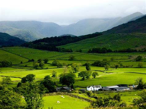 Image result for Windows Background High Resolution