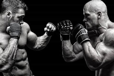 Boxing Stand Off 的图像结果