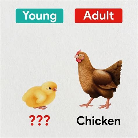 Sherzodbek Rahmatov (@englishnativetv) • Instagram photos and videos