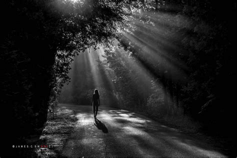 Image result for Natural Light Tutorial