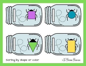 Image result for Insect Sorting