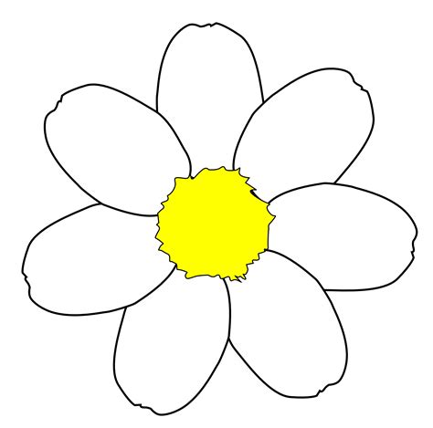 Free Daisy Flower Outline, Download Free Daisy Flower Outline png ...