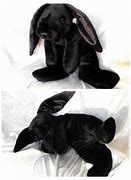 Image result for Bunny Stuffed Animal for Baby