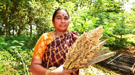 Judicial activism vs. climate crisis | Meer