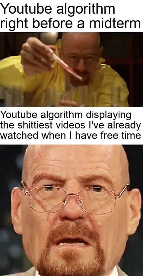 Image result for YouTube Algorithm Meme