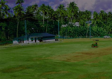 Loongs Cricket Academy