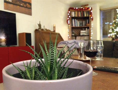 Interesting Things 的图像结果