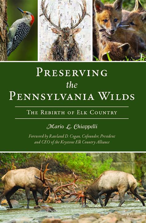 Preserving the Pennsylvania Wilds: The Rebirth of Elk Country (The ...