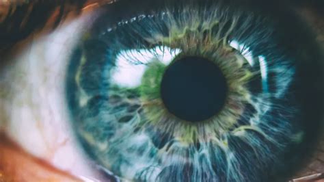 Image result for Solving Eye Problem
