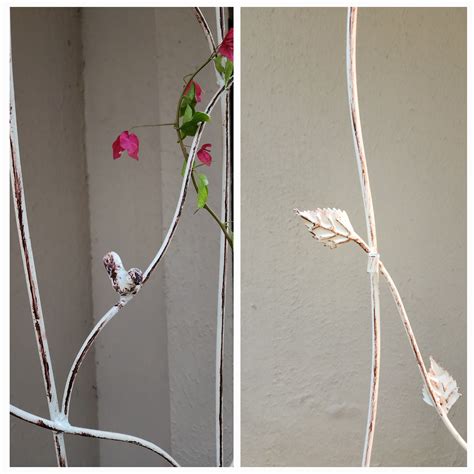 Wall Trellis – Earth Garden