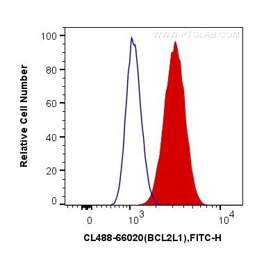 BCL2L1 antibody (CL488-66020) | Proteintech