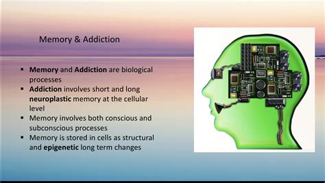 Memory Pathways 的图像结果