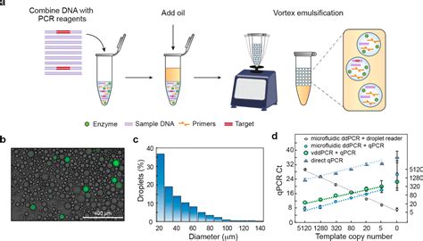 Image result for Molecular Lab Operating PCR