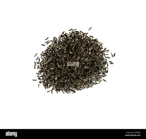 Niger seed bird feeder hi-res stock photography and images - Alamy