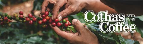 Cothas Nova-Therm | Pure Filter Coffee Powder (500G), Packet : Amazon ...