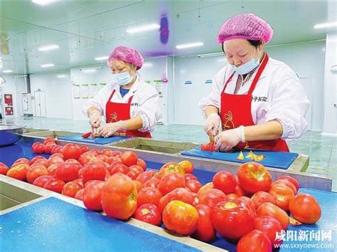 三原预制菜产业为乡村振兴注入新活力|咸阳市|乡村振兴|工人_新浪新闻