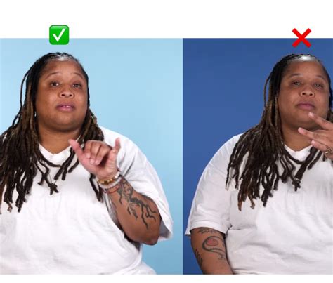 Image result for Fraudulent Sign Language Interpreter