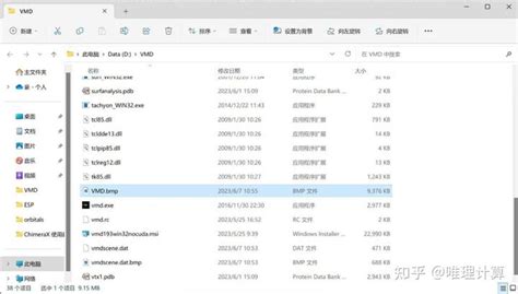 VMD Tutorial MD Analysis 的图像结果