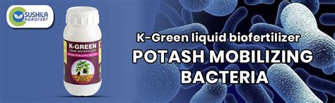 Plant Growth Promoter K Green 250 ml Potash Mobilizing Bacteria ...