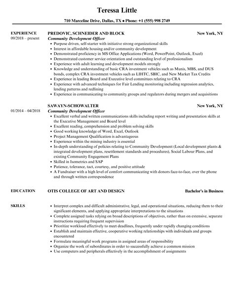 Image result for Development Officer Resume Examples