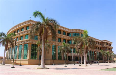 Image result for MSA Programs Requirements