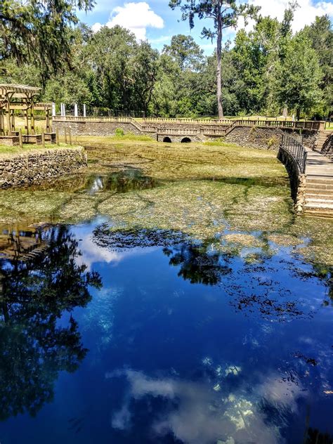 Another Mile Another Destination Blog: Radium Springs Garden, Albany ...