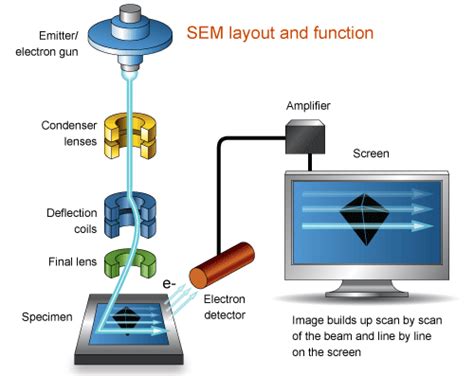 SEM---1 SEM的基本原理及应用-测试狗·科研服务