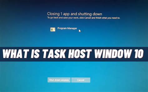 Stop Task Host Window Process 的图像结果