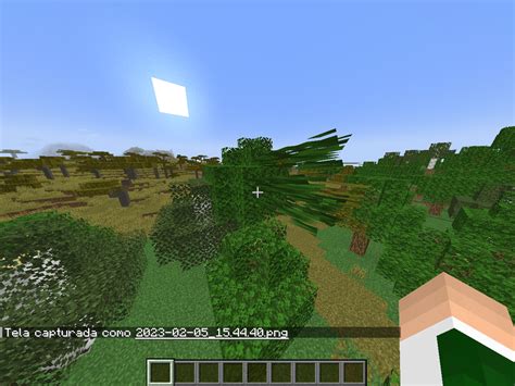 Image result for Java Edition Minecraft Demo Bug