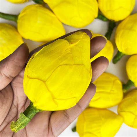Yellow Lotus Flower Bud – Adikala - Craft Store