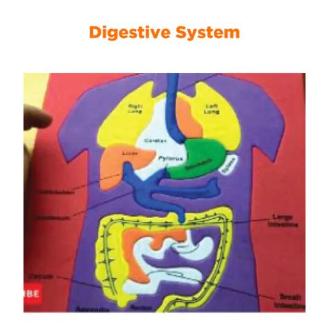 Class 6 NEP-Aligned STEM Classroom Set | 30 Kits (6 Topics x 5 Kits ...