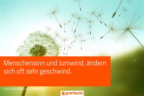 Juni nass - viel Bodengras. Die Bauernregeln im Juni. | agrarheute.com