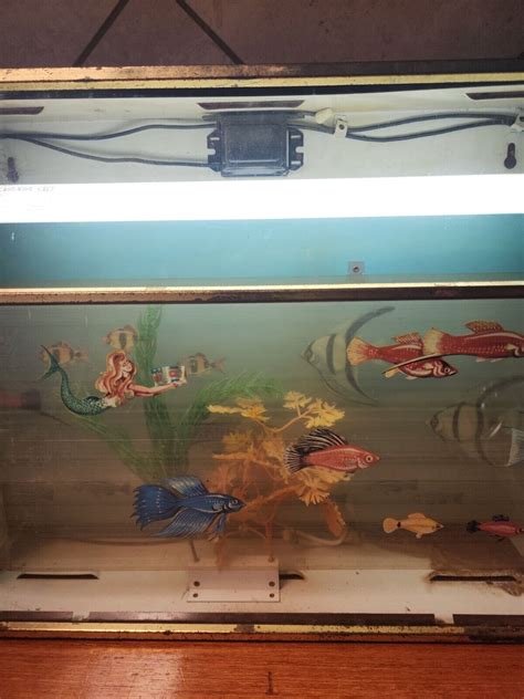 Jax Beer Aquarium Motion Lighted Sign With Moving India | Ubuy