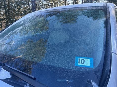 Franklin Pierce Baseball soars into NCAA Super Regionals with eyes on ...