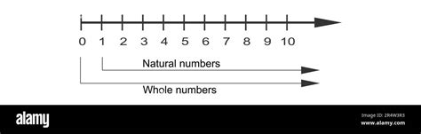 Image result for Integer Meaning Math