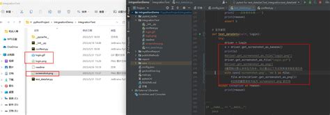 Sdet Python Selenium 的图像结果