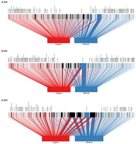 Microorganisms | Special Issue : Composition and Dynamics of Plant and ...