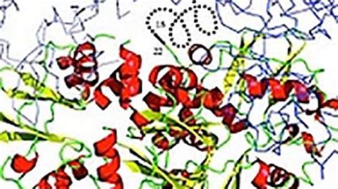 Image result for Protein Crystallization Protocol