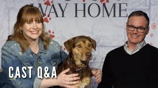 Bryce Dallas Howard : Booking Price,Contact,Show,Event: partymap.in
