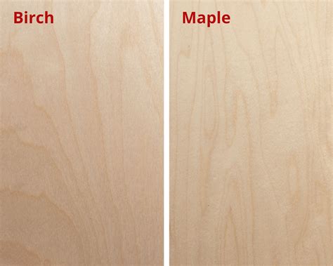Birch vs. Maple Kitchen Cabinets