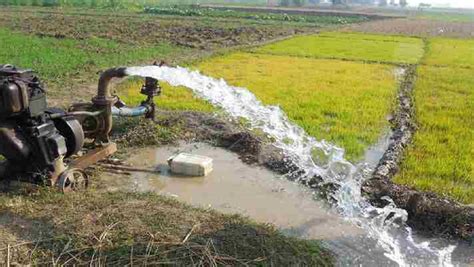 बड़ी खुशखबरी: 30 सितंबर तक जारी होंगे कृषि बिजली कनेक्शन, रबी फसलों की ...