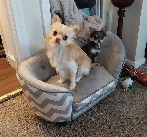 Image result for Example.com