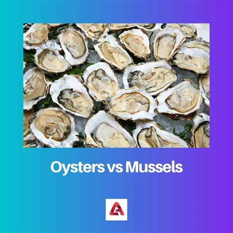 Oyster Vs Clam Vs Mussel Taste at Ben Birtwistle blog