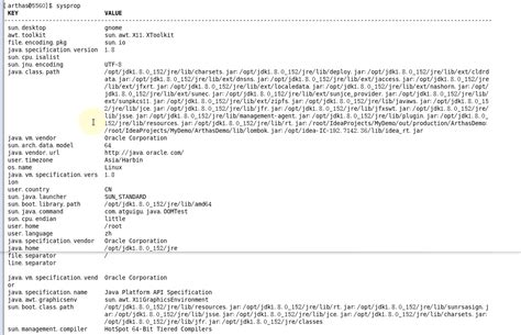 System Prop 的图像结果