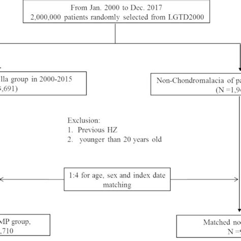 Image result for Flowchart Collection Process