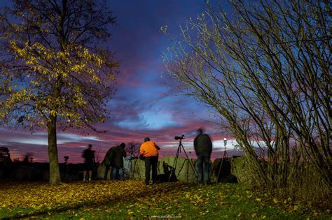 Image result for Meetup Toronto