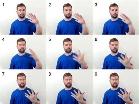 5 in Sign Language 的图像结果