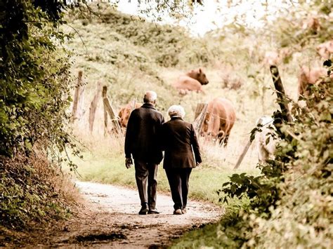 Aging society challenges | Meer